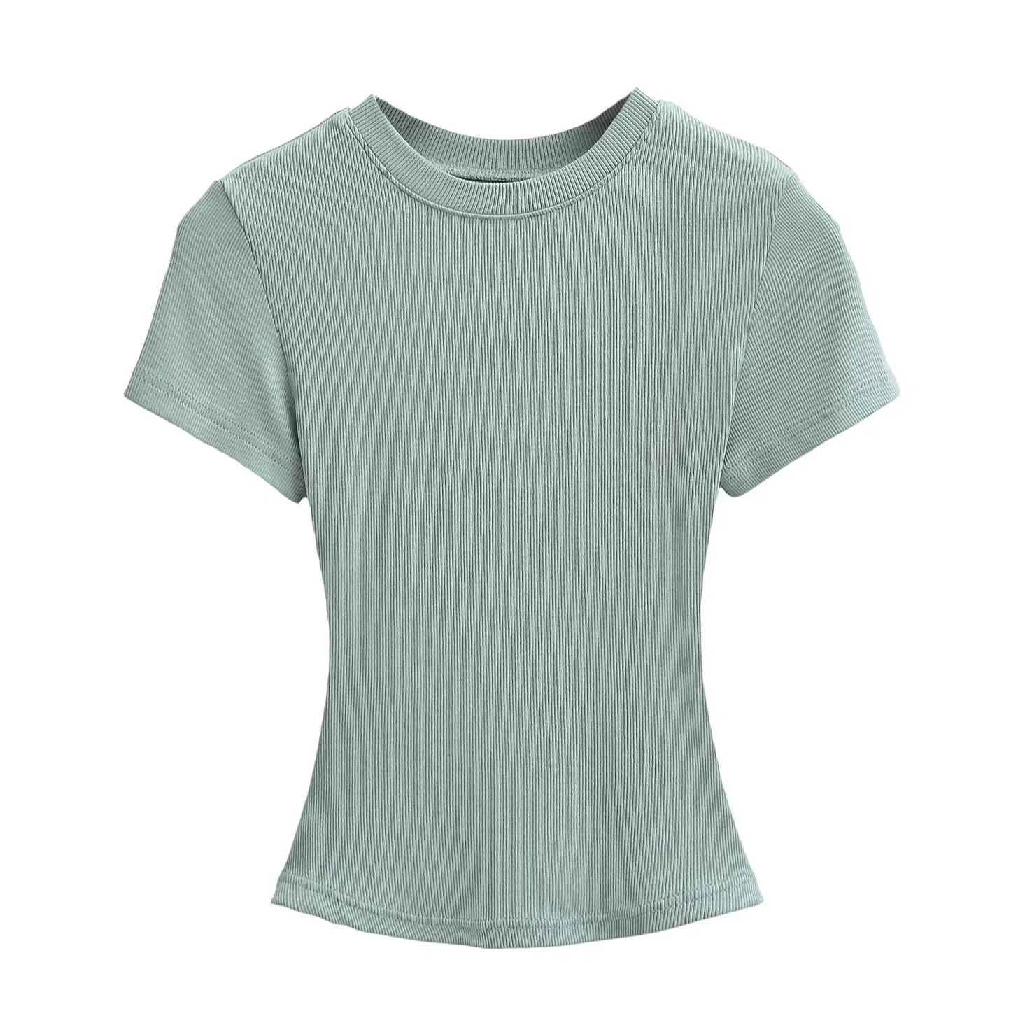 タイトフィットリブTシャツ 3914